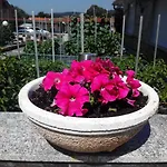 Asun Санхенхо