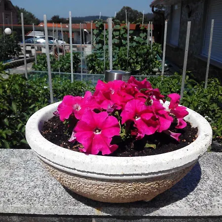 Asun Санхенхо